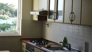 Apartment (A1) | Private kitchen