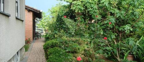 Jardín