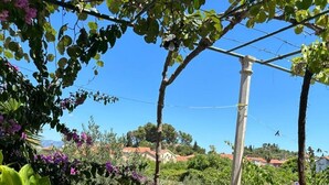 Ένας υπαίθριος χώρος με έπιπλα από μπαμπού, περιτριγυρισμένος από πλούσια βλάστηση και ανθισμένα φυτά.