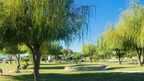 A park with trees, a stone bench, and a grassy area. - Apartment Mari (Lopar)