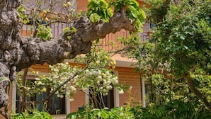 A multi-story building with balconies, surrounded by lush greenery and trees. - Apartment Giuseppe (Mali Losinj)