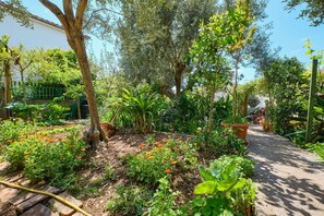 Courtyard - Apartment Giuseppe (Mali Losinj)