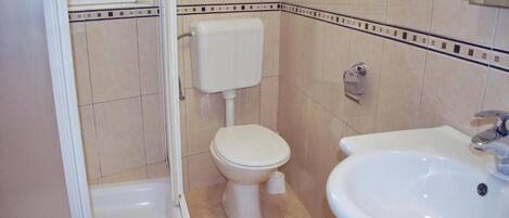 A bathroom with a toilet, a sink, and a shower.