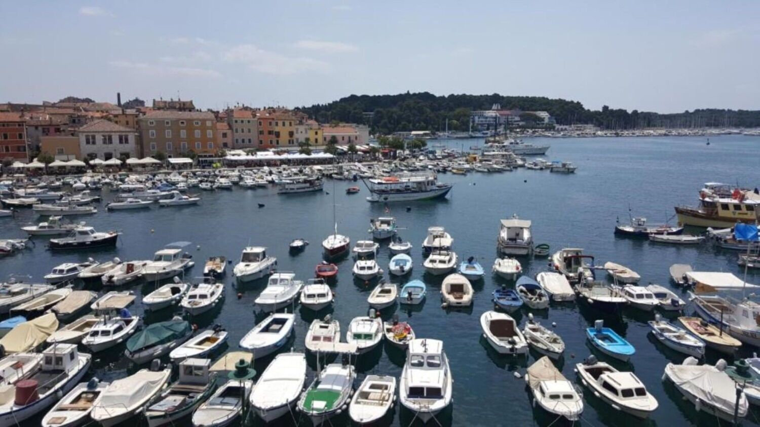 A marina filled with various boats docked in calm waters.