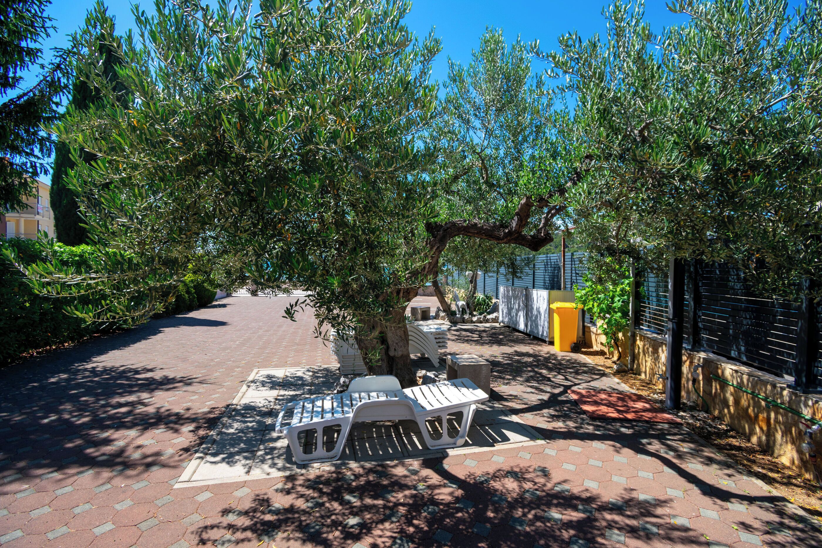 A paved pathway with outdoor seating, trees, and a fence.