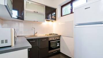 Apartment (A3) | Private kitchen | Fridge, microwave, oven, stovetop