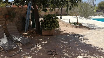 Room (S3) | Courtyard