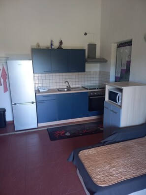 Apart Daire (A1) | Özel mutfak | Buzdolabı, mikrodalga fırın, set üstü ocak, elektrikli su ısıtıcısı 