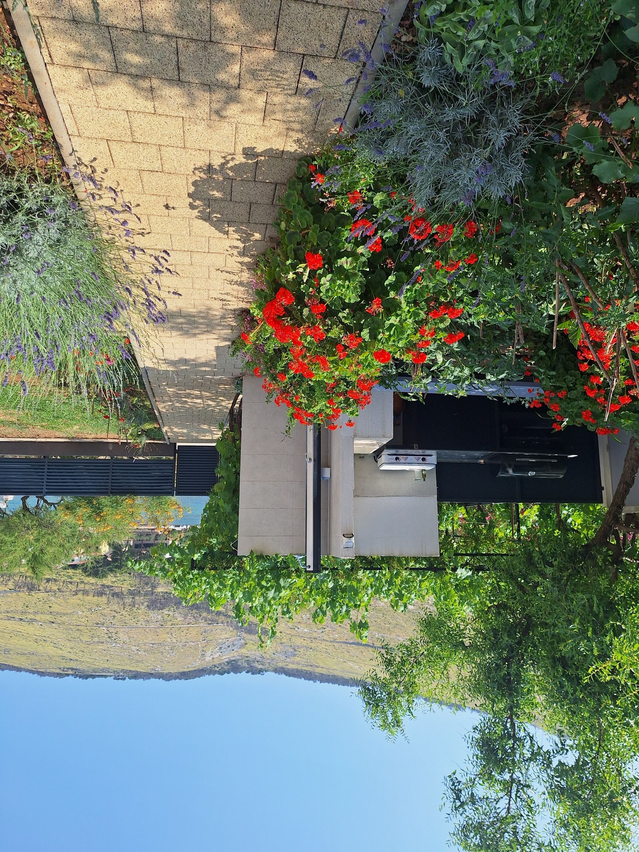 Un giardino con fiori rossi e un muro in mattoni.