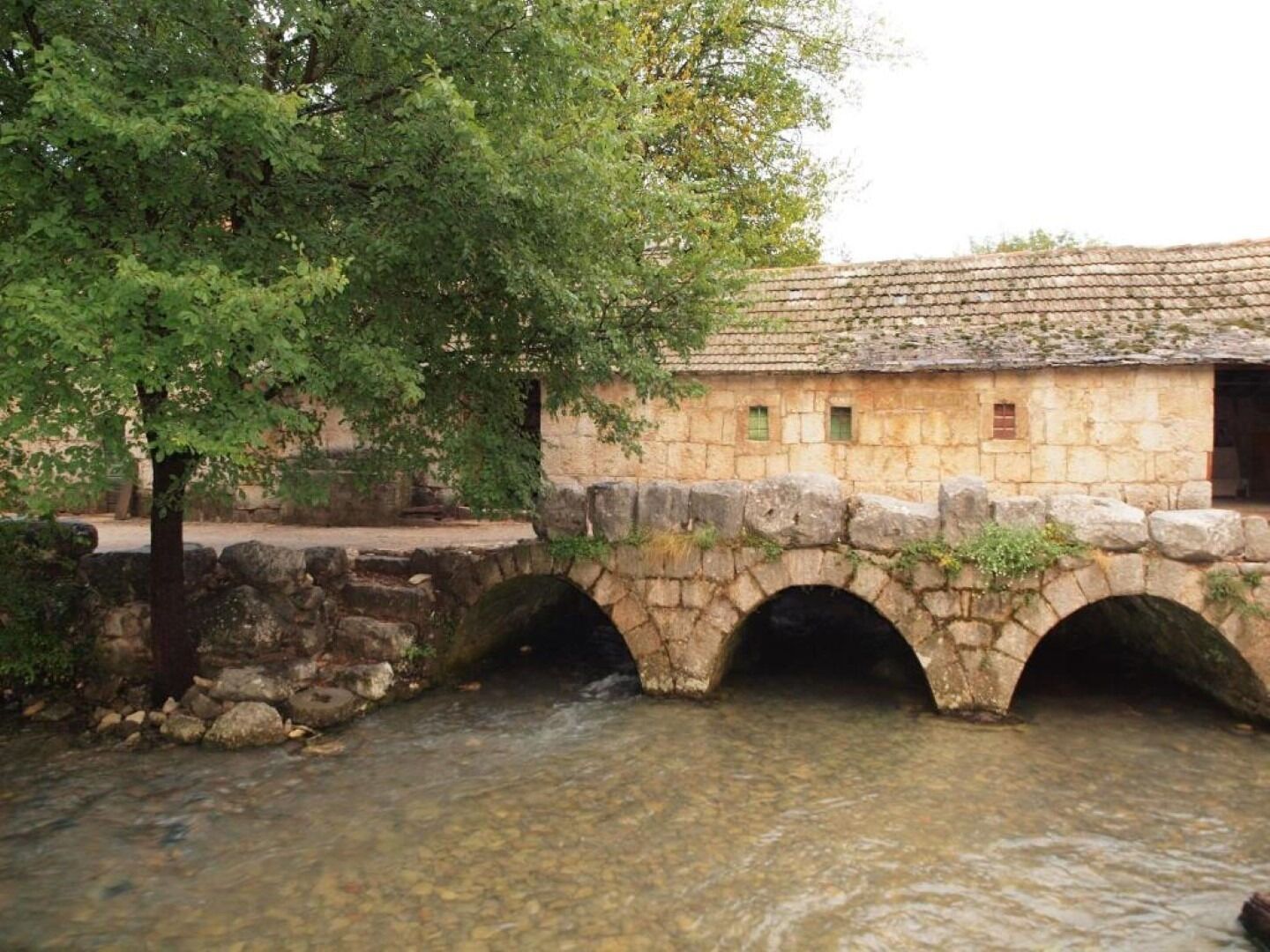 Sekalaista