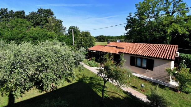 A house with a red-tiled roof, surrounded by lush greenery and trees. - House Ariella (Umag)
