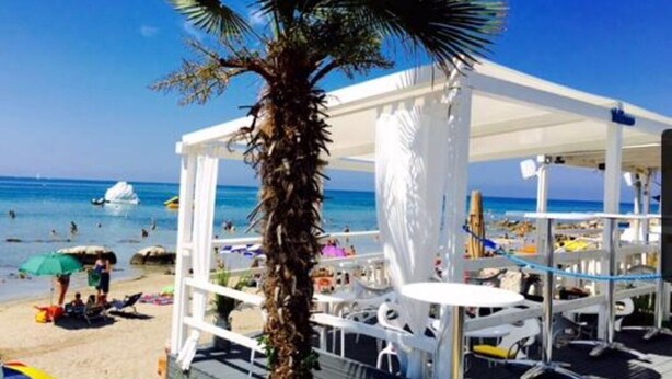 A beachside area with a palm tree, white umbrellas, and lounge chairs under a white canopy. - Apartment Mirella (Umag)