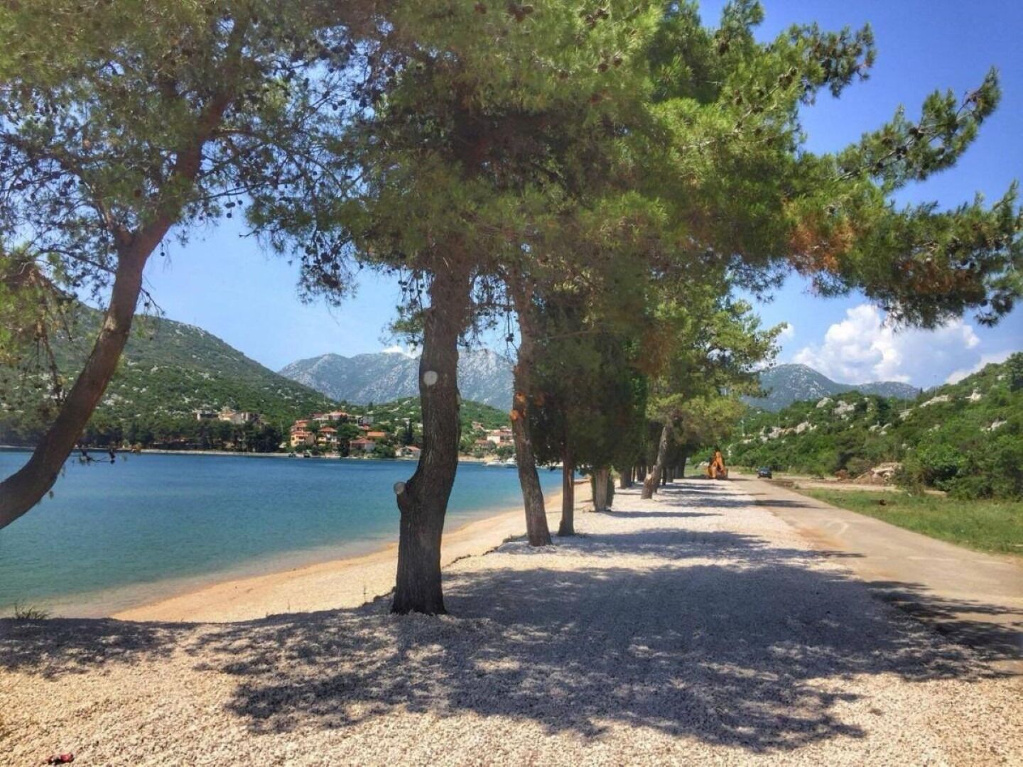 A coastal road lined with trees and a clear view of the sea and mountains in the background.