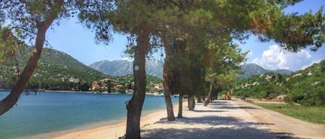 A coastal road lined with trees and a clear view of the sea and mountains in the background.