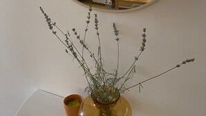 A living room with a round mirror, a vase with plants, a small orange pot, and a sofa with cushions. - House Katy (Ploce)
