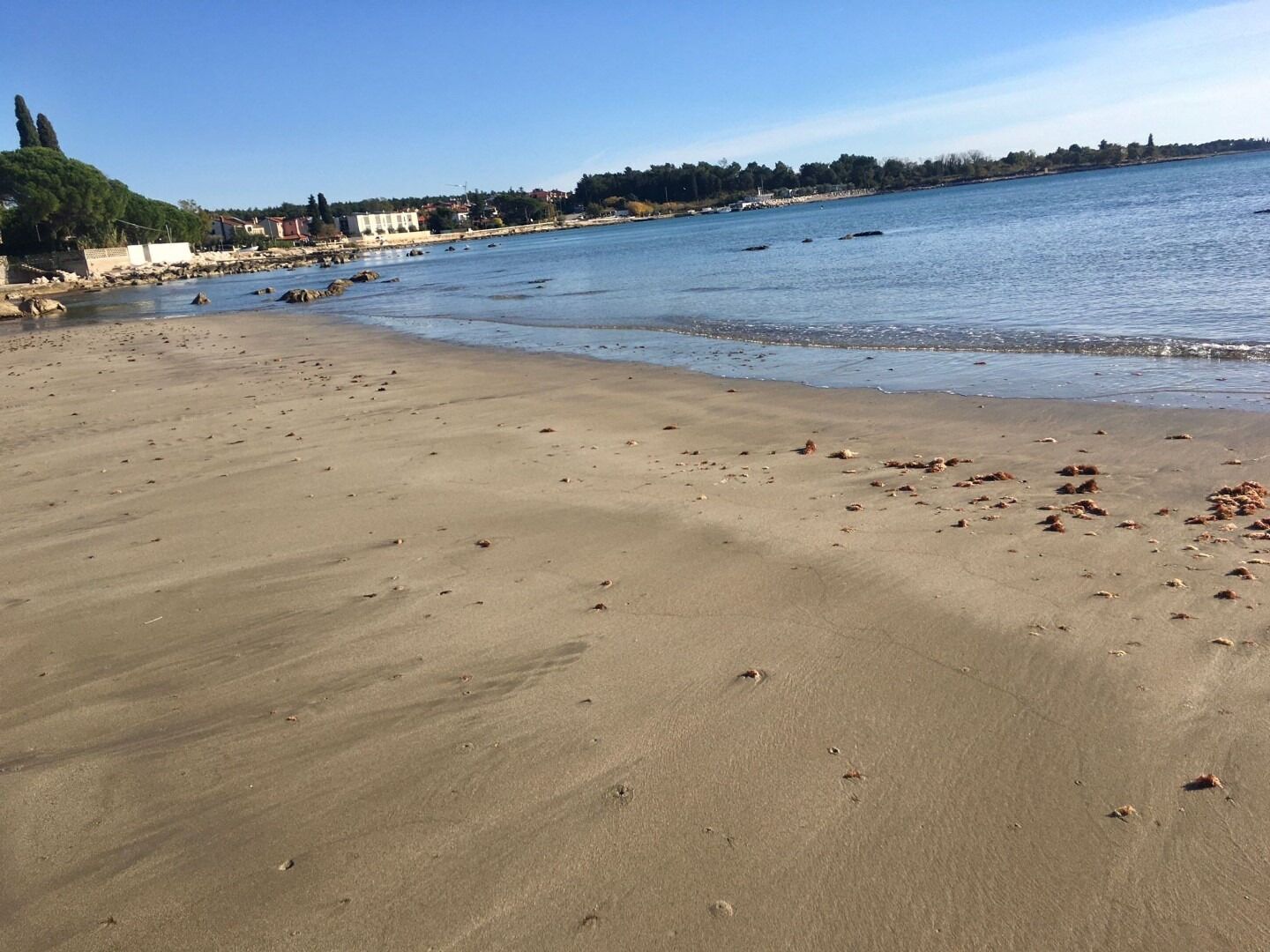 Een zanderig strand met wat losse voorwerpen, rustig water en een verre kustlijn met gebouwen en bomen.