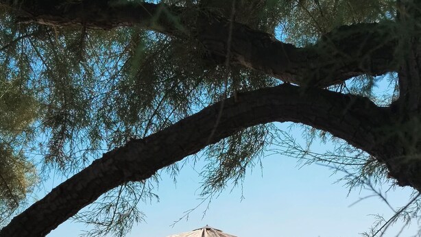 A beach with umbrellas, lounge chairs, and a tent. - House Garden for two (Vodice)