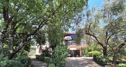 Apartment Vera