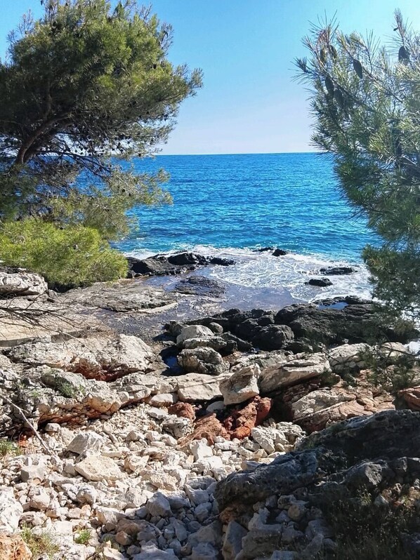 A rocky shoreline with clear blue sea, trees, and a clear sky. - House More (Solta)