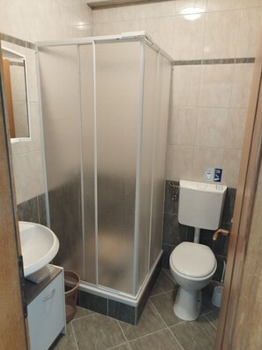 Ein Badezimmer mit Duschkabine, Toilette und Waschbecken.