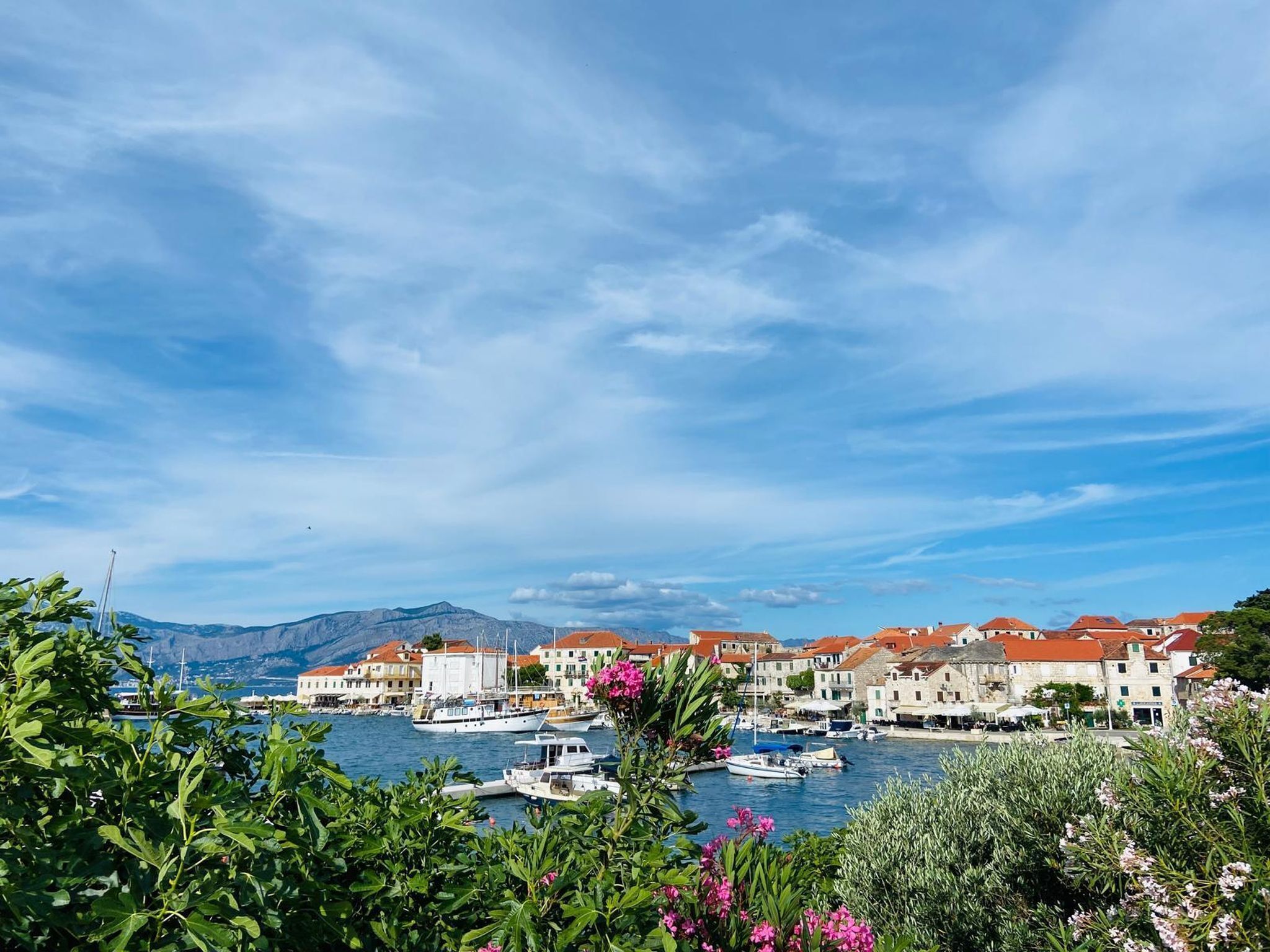 إطلالة على المدينة من المنشأة