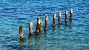 Visão nítida de um mar calmo com estacas de madeira que se estendem para a água.