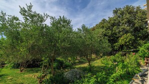 Ein üppiger Garten mit verschiedenen Bäumen und Sträuchern, einem Kiesweg und einem Holzzaun.