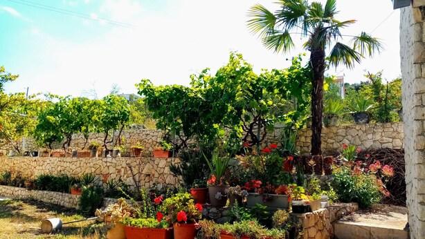 Ein Garten mit verschiedenen Blumentöpfen und einer Steinmauer.