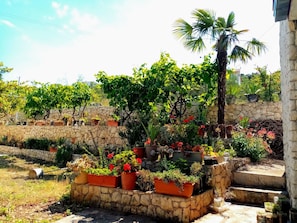 A garden with various potted plants and a stone wall. - Apartments Nar (Marina)