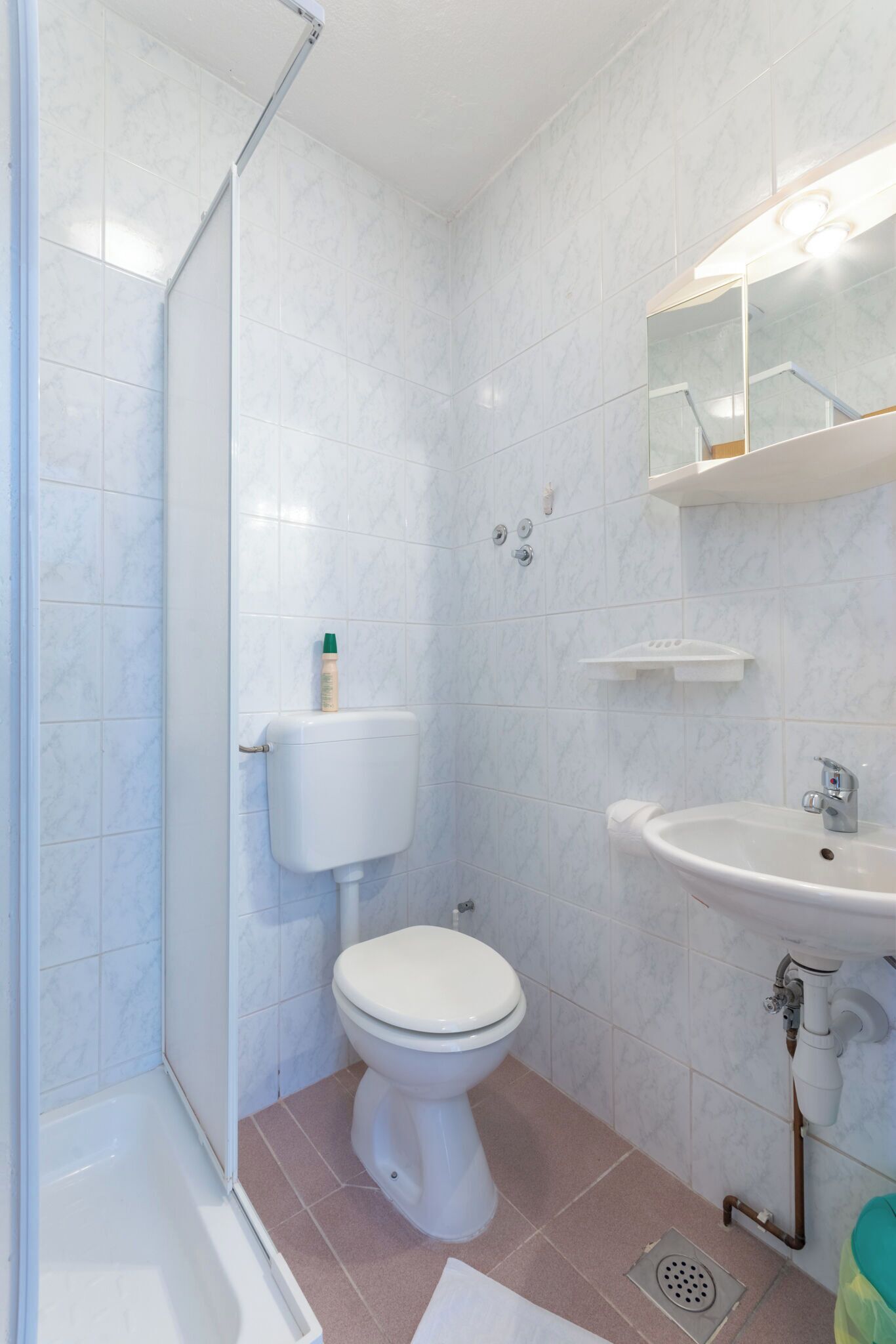 Une salle de bain avec des toilettes, un lavabo et une douche.