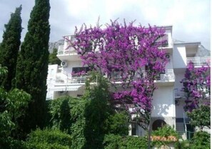 Exterior - Apartments Josip II (Baska Voda)