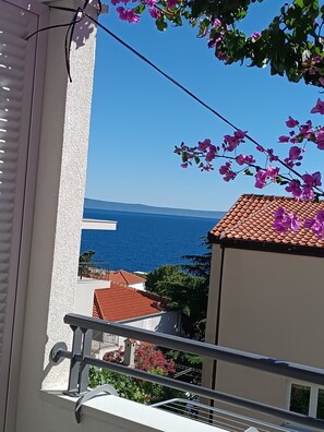 Property grounds - Apartments Josip II (Baska Voda)
