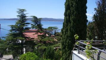 A coastal view with a red-roofed building, a tall tree, and a clear blue sky.