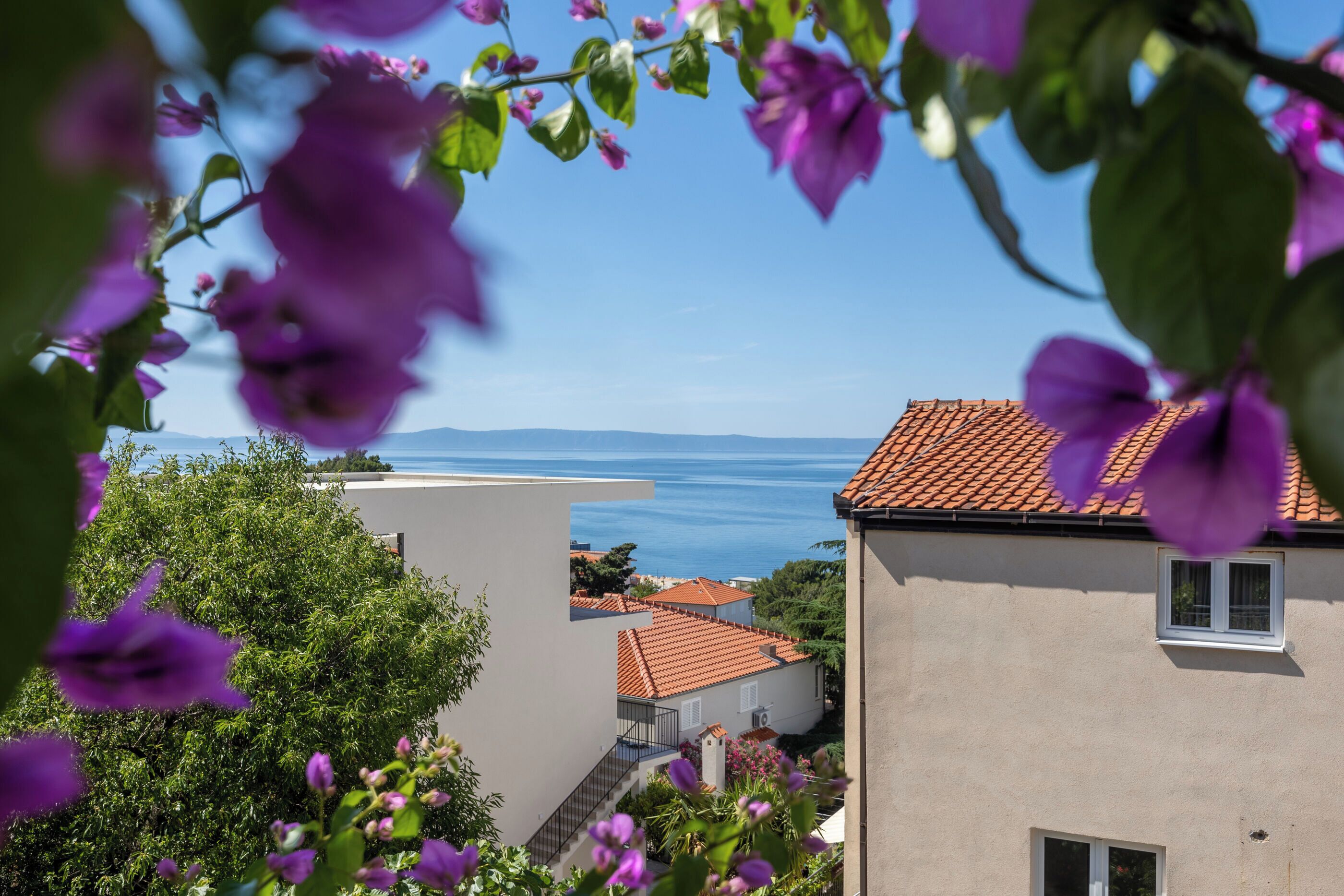 Studio (A4) | Unterkunftsgelände