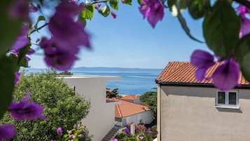 Studio (A4) | Unterkunftsgelände