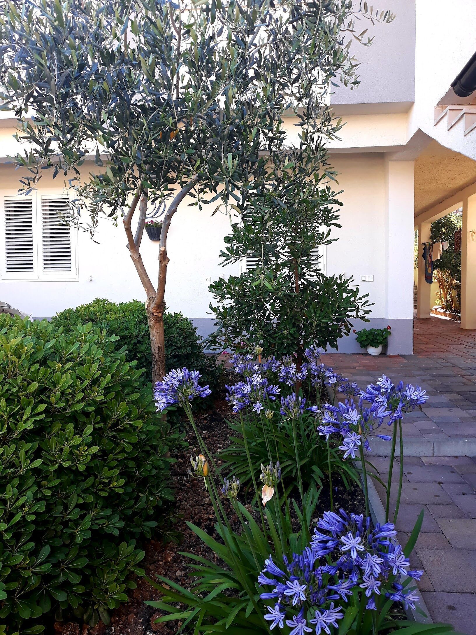 Disseny de l'edifici