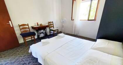 Apartment Travica