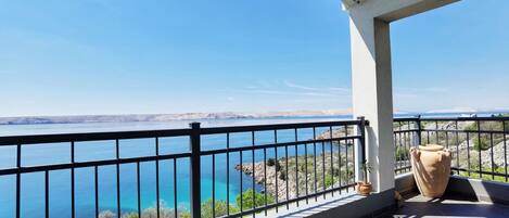 Appartement (A1) | Terrasse/patio