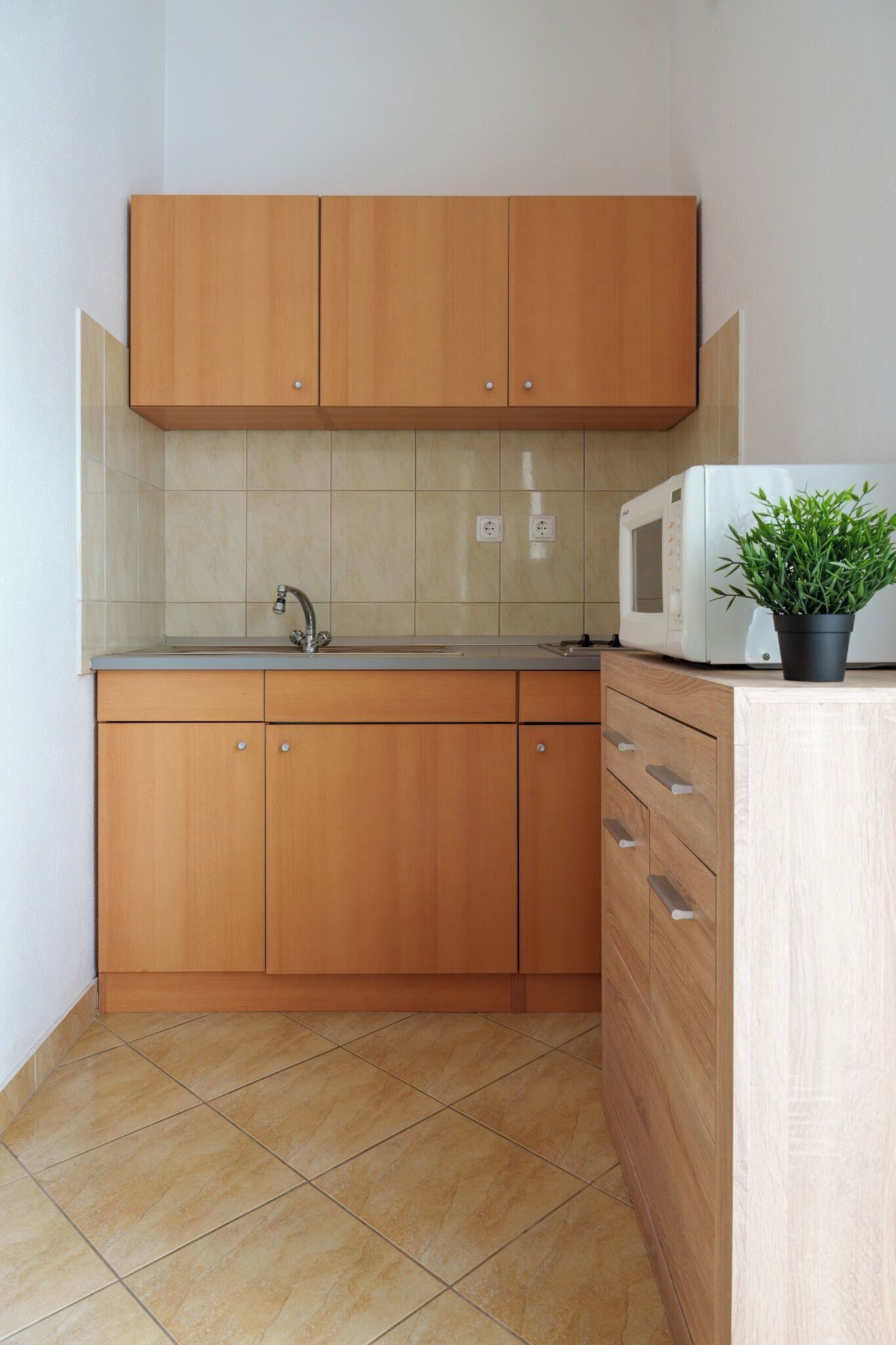 Une cuisine avec des meubles de rangement en bois, un évier, un four à micro-ondes et une plante en pot.