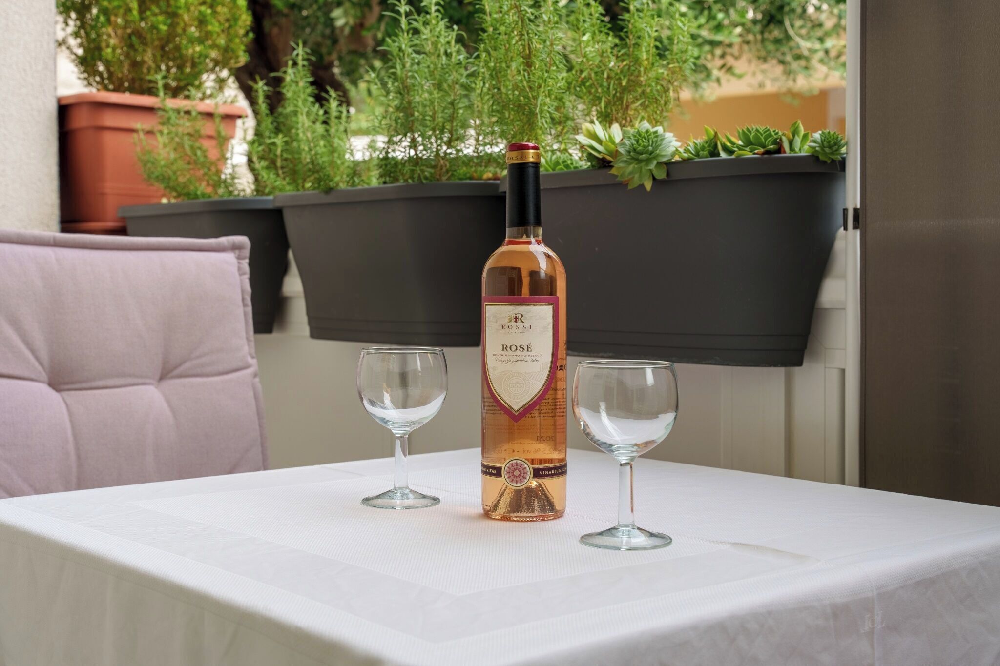A bottle of rosé wine on a table with two glasses, surrounded by potted plants.