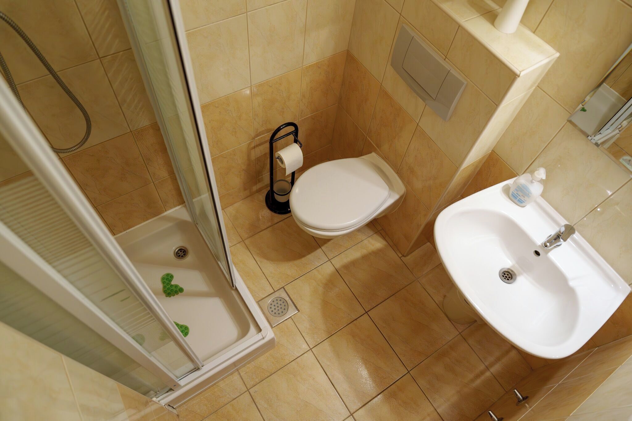 Une salle de bain avec douche, toilettes et lavabo.