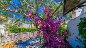 Eine Steintreppe führt zu einem Gebäude mit einem Metallgeländer, umgeben von üppiger Vegetation und leuchtend violetten Bougainvillea-Blüten.