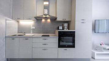 Apartment (A3) | Private kitchen | Fridge, oven, stovetop, dishwasher