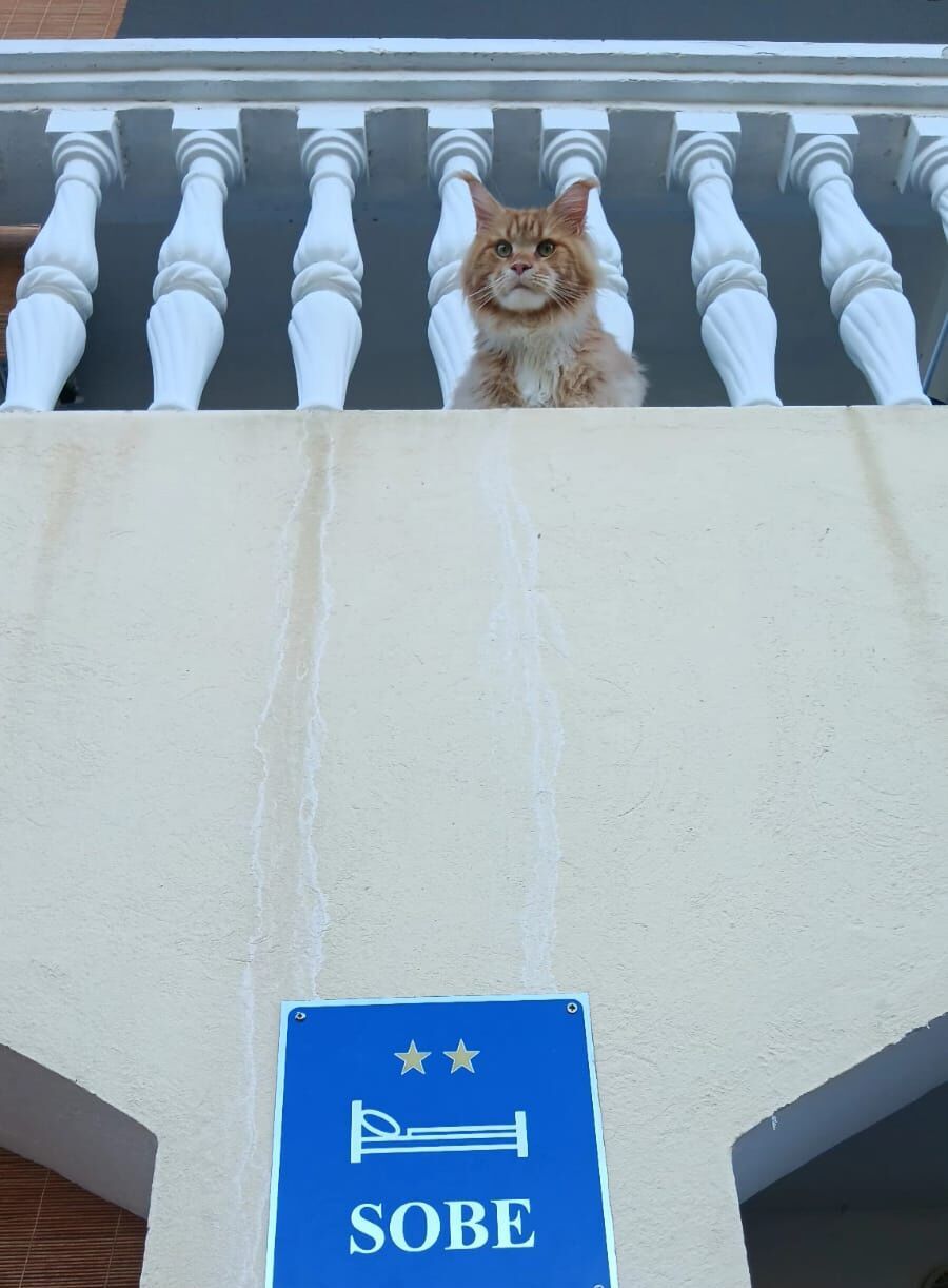 Balkon