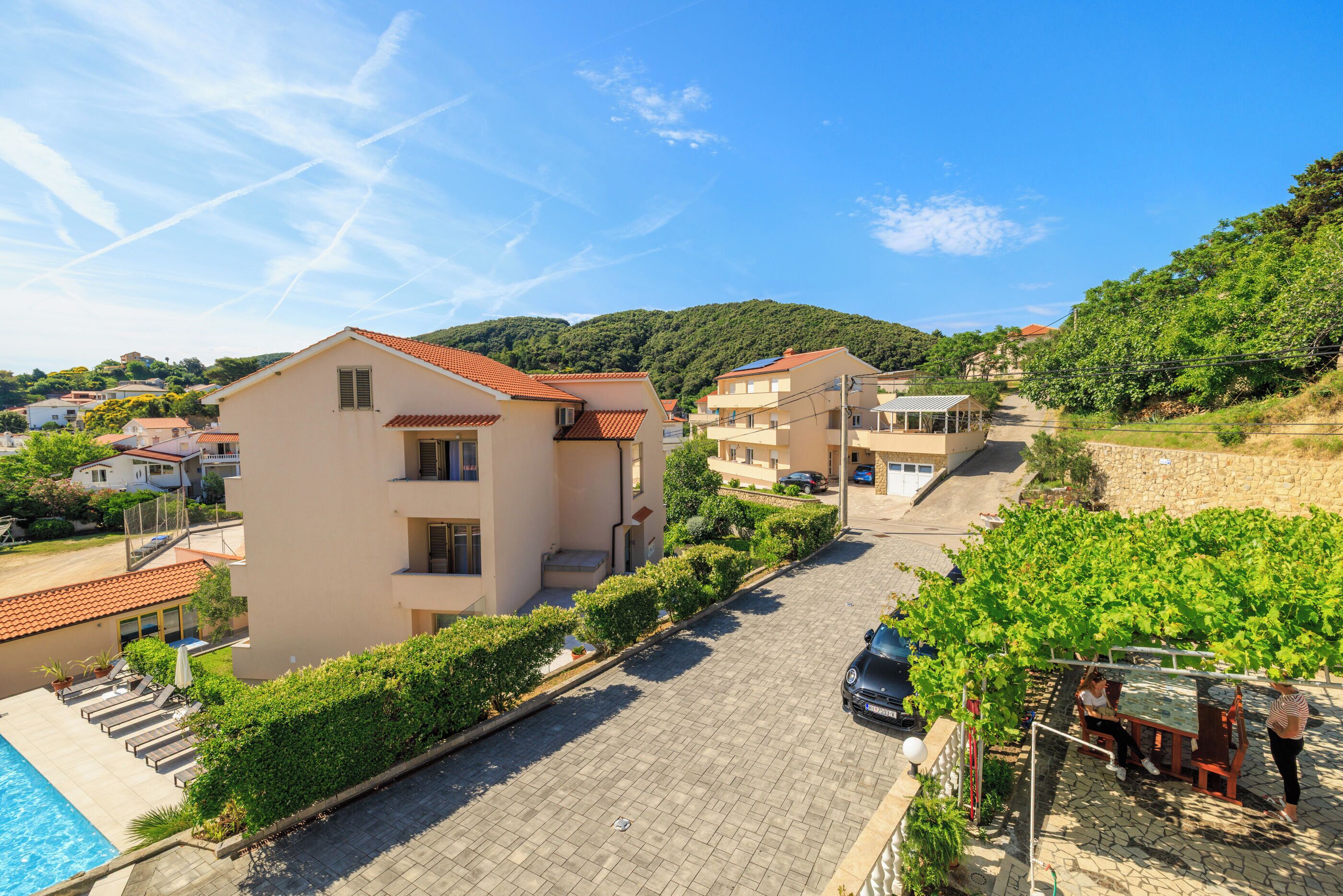 A residential area with a paved driveway, a swimming pool, and a vineyard.