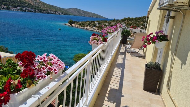 A balcony with a view of the sea, potted flowers, and a chair. - Apartment D&D Grubisic (Sibenik)