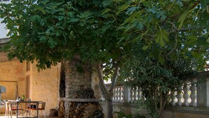 Ein steinerner Innenhof mit einem rustikalen Tisch und Stühlen, einem Baum und einer Steinsäule.