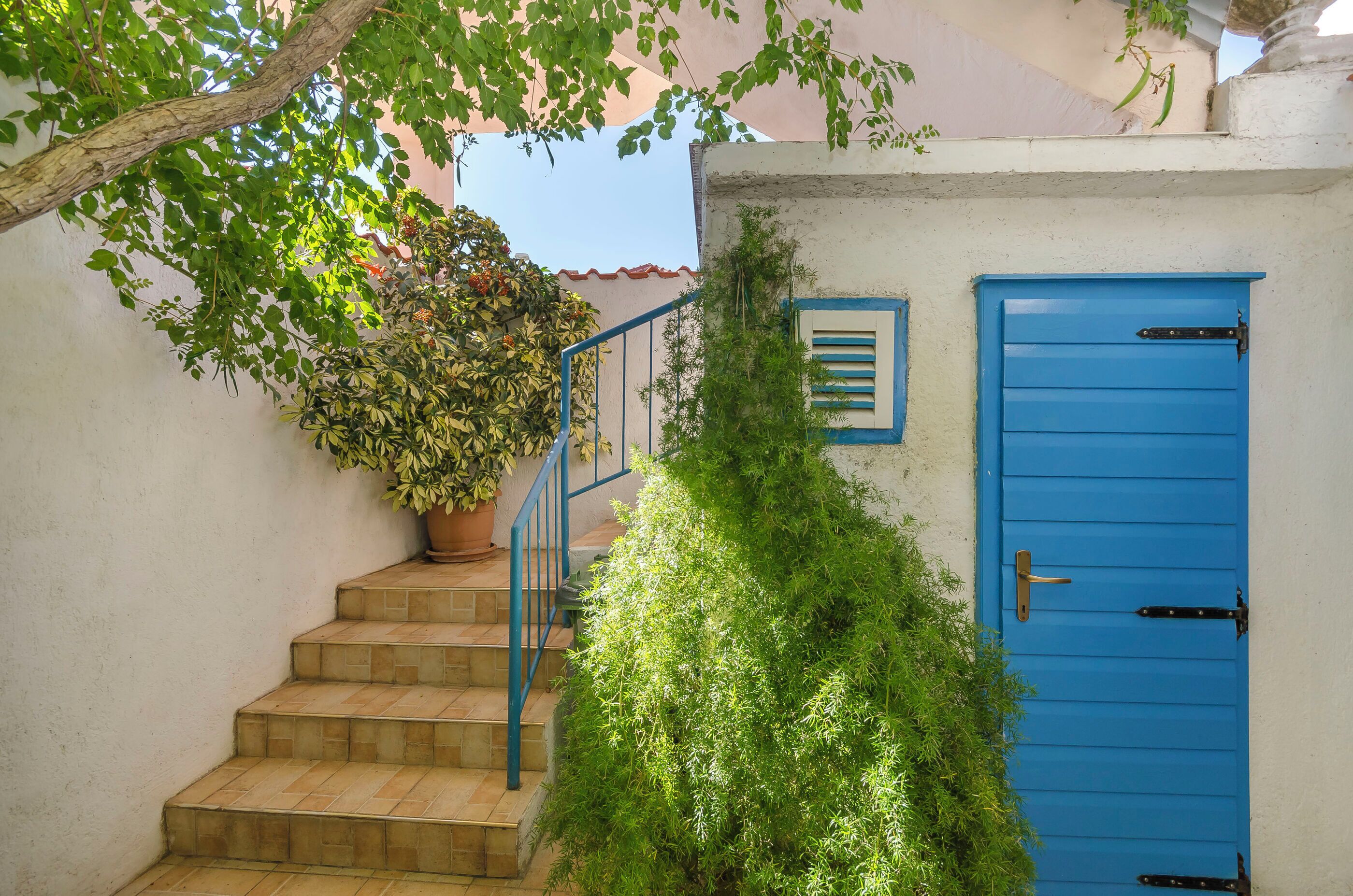 المنشأة من الداخل