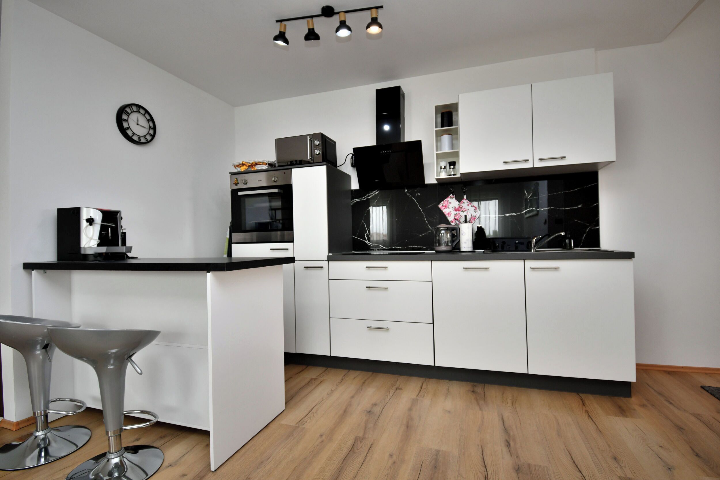 Apartment (A1) | Private kitchen | Fridge, microwave, oven, stovetop