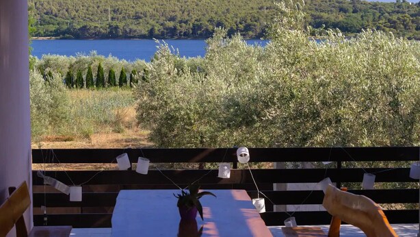 A table with a potted plant, a small decorative item, and a view of a lake with trees and hills in the background. - House Berto (Medulin)